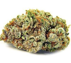 Alien OG