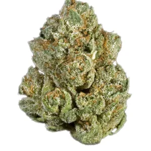 Nameless OG