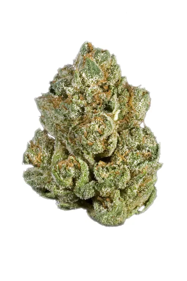 Nameless OG