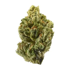 Dodger OG
