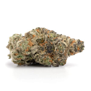 Gelato Sherbet 1/2 OZ Special