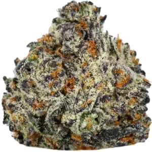 Buddha Tahoe OG