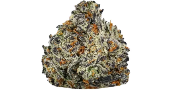 Buddha Tahoe OG