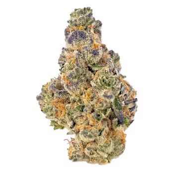 Lemon Cherry Sherbet 1/2 OZ Special