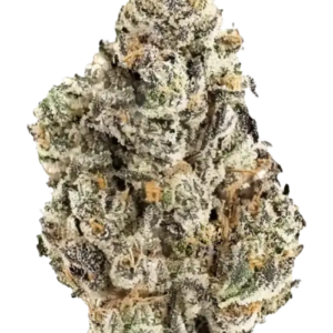 Great Gas 1/2 OZ SPECIAL