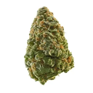 Hollywood OG